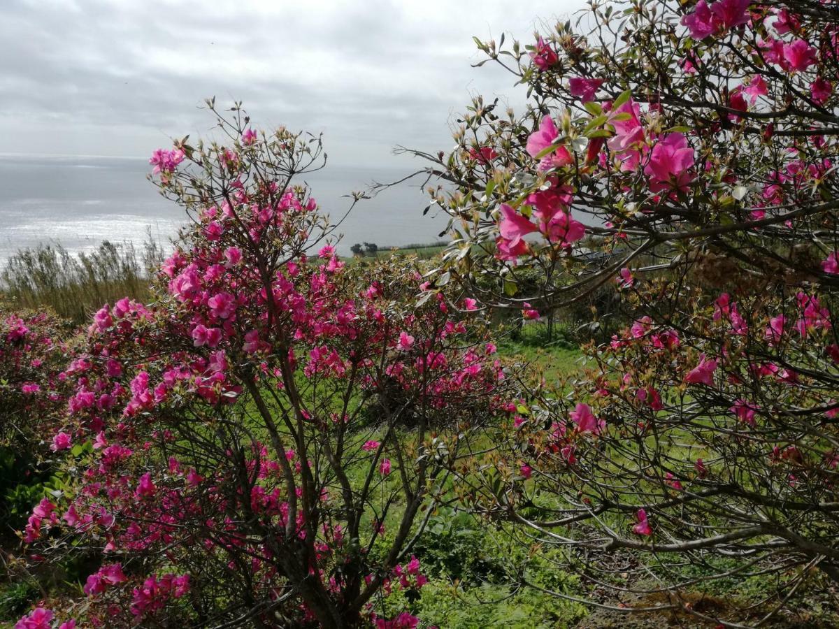 Quinta Do Sol Poente Βίλα Feteiras Εξωτερικό φωτογραφία